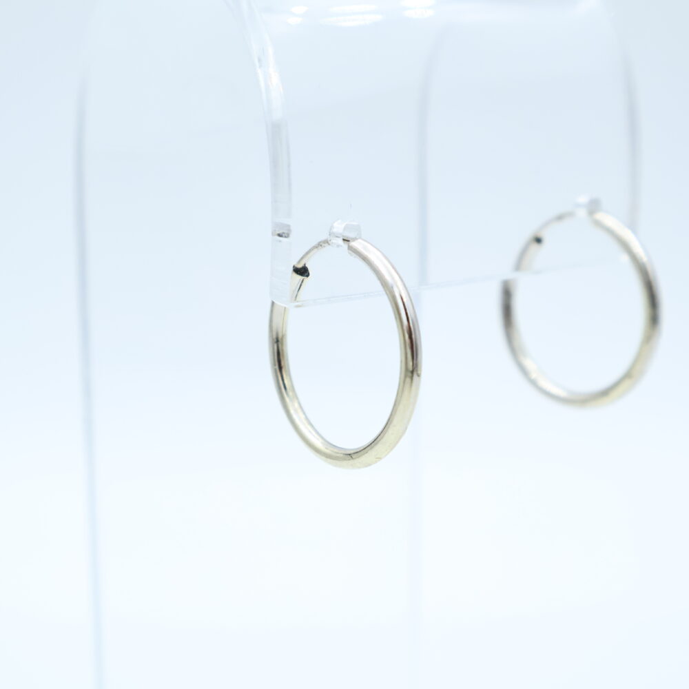 Ørepynt i hvitt gull